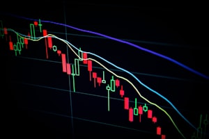股票实训总结：实战经验与深度反思